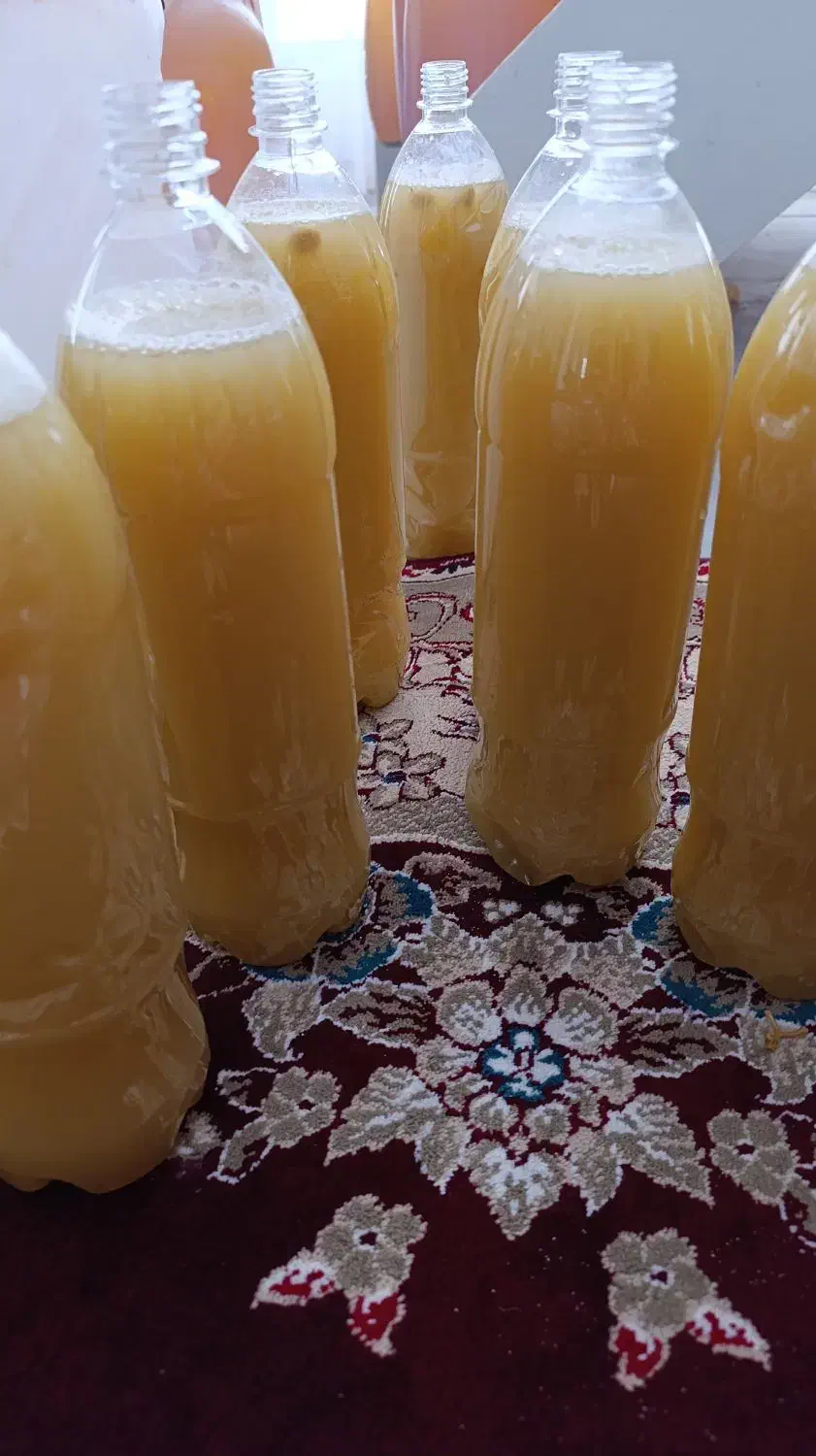 فروش آبغوره خالص و دستی و طبیعی و تمیز|خوردنی و آشامیدنی|طسوج, |دیوار