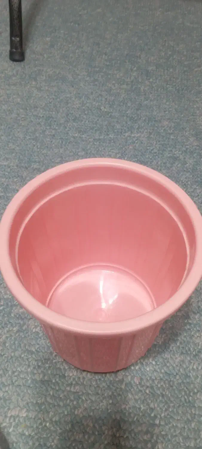 سطل برنج  تکی هم کسی بخواد می فروشم|ظروف نگهدارنده، پلاستیکی، یک‌بارمصرف|کرج, برغان|دیوار