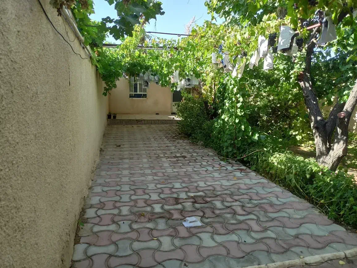 خونه،سوئیت،منزل،اجاره ای پنج کیلومتری شهر قاین|اجارهٔ کوتاهمدت ویلا و باغ|قائن, |دیوار