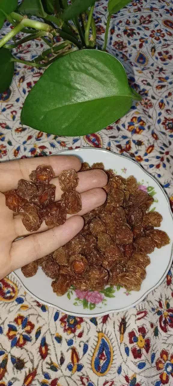 الوچه خورشتی|خوردنی و آشامیدنی|شاهین‌شهر, شهرک سایت|دیوار