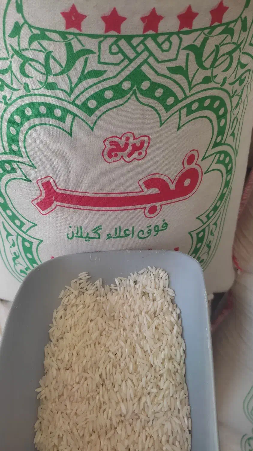 برنج فجروهاشمی تحفه ای از شالیزارهای گیلان تالش|عمدهفروشی|پرهسر, |دیوار