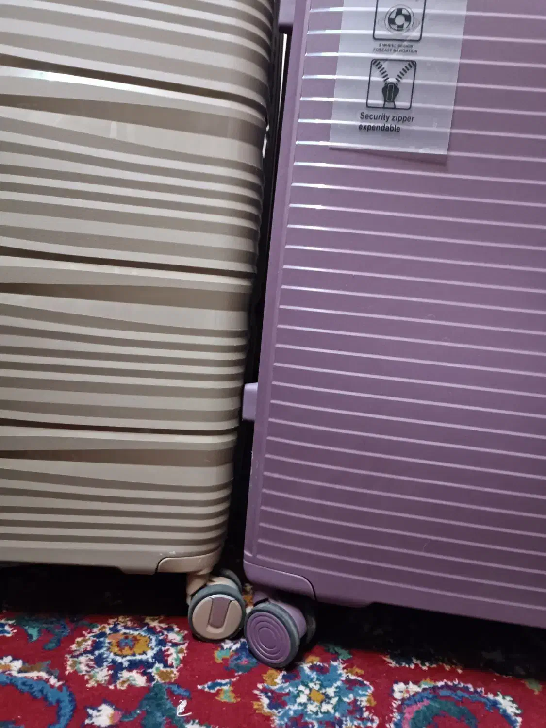 چمدان|کیف، کفش، کمربند|مشهد, رضاشهر|دیوار