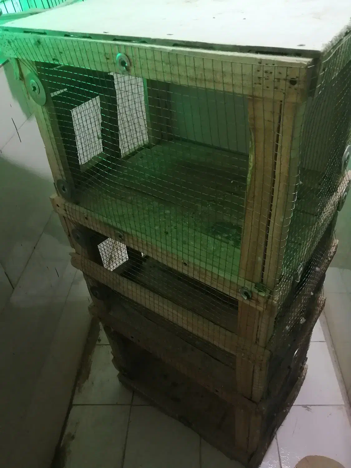 قفس جوبی|لوازم جانبی حیوانات|بندرعباس, |دیوار