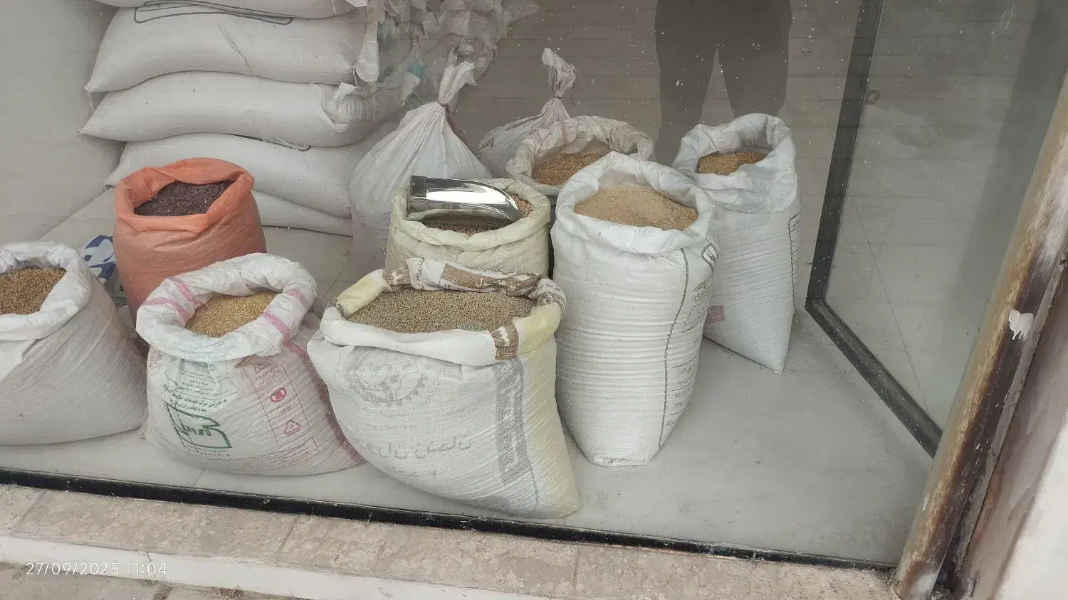 فروش کنسانتره نخود جو گندم سبوس عدس|عمدهفروشی|قیدار, |دیوار