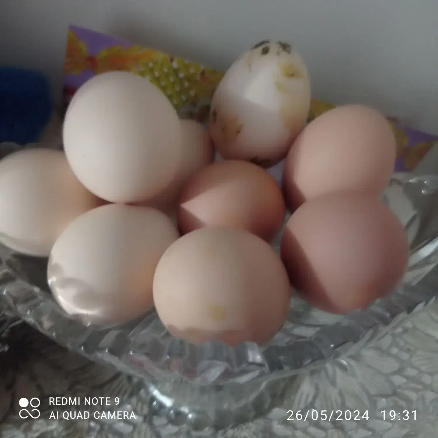 تخم مرغ لاری|حیوانات مزرعه|خوسف, |دیوار