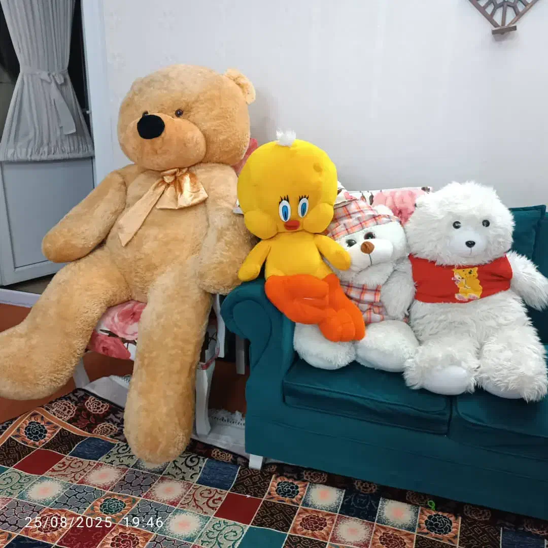 خرس بزرگ خارجی|اسباب‌بازی بچه|شیراز, فرگاز|دیوار