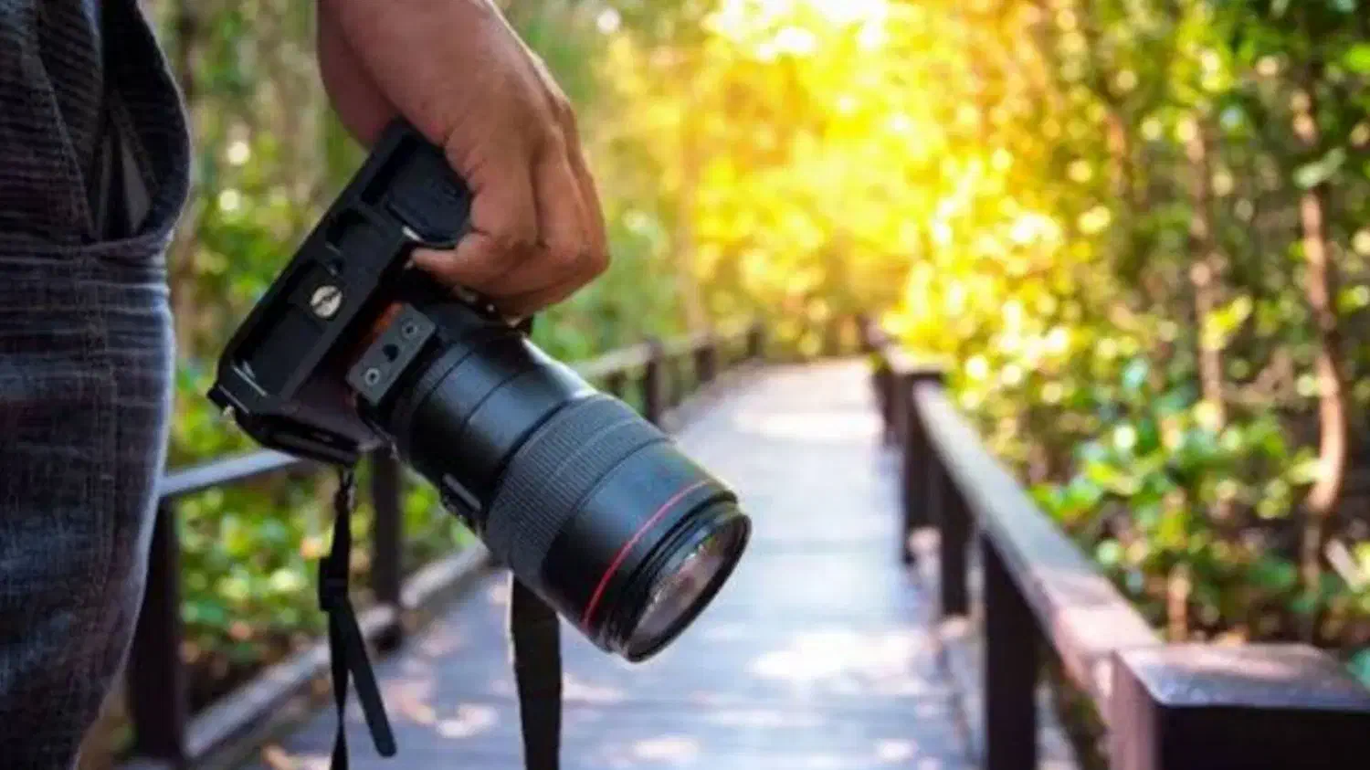 پارتنر تولید محتوا|استخدام هنری و رسانه|تهران, چیذر|دیوار