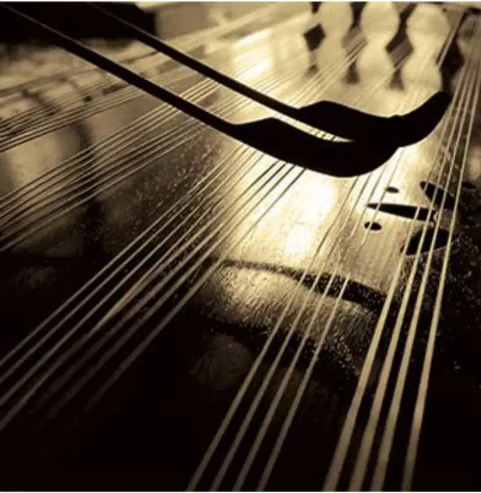 آموزش سنتور|خدمات آموزشی|ارومیه, |دیوار