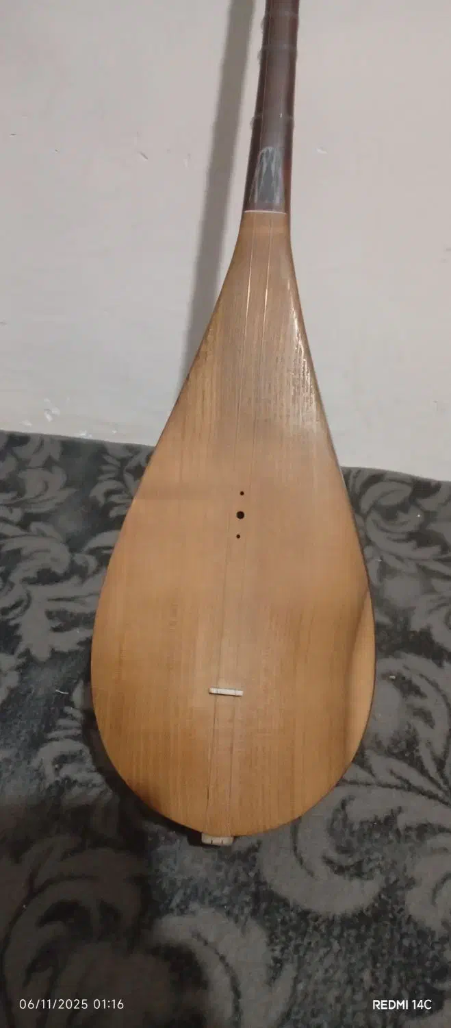 دوتار کرمانج|سازهای سنتی|نیشابور, گنبد سبز|دیوار