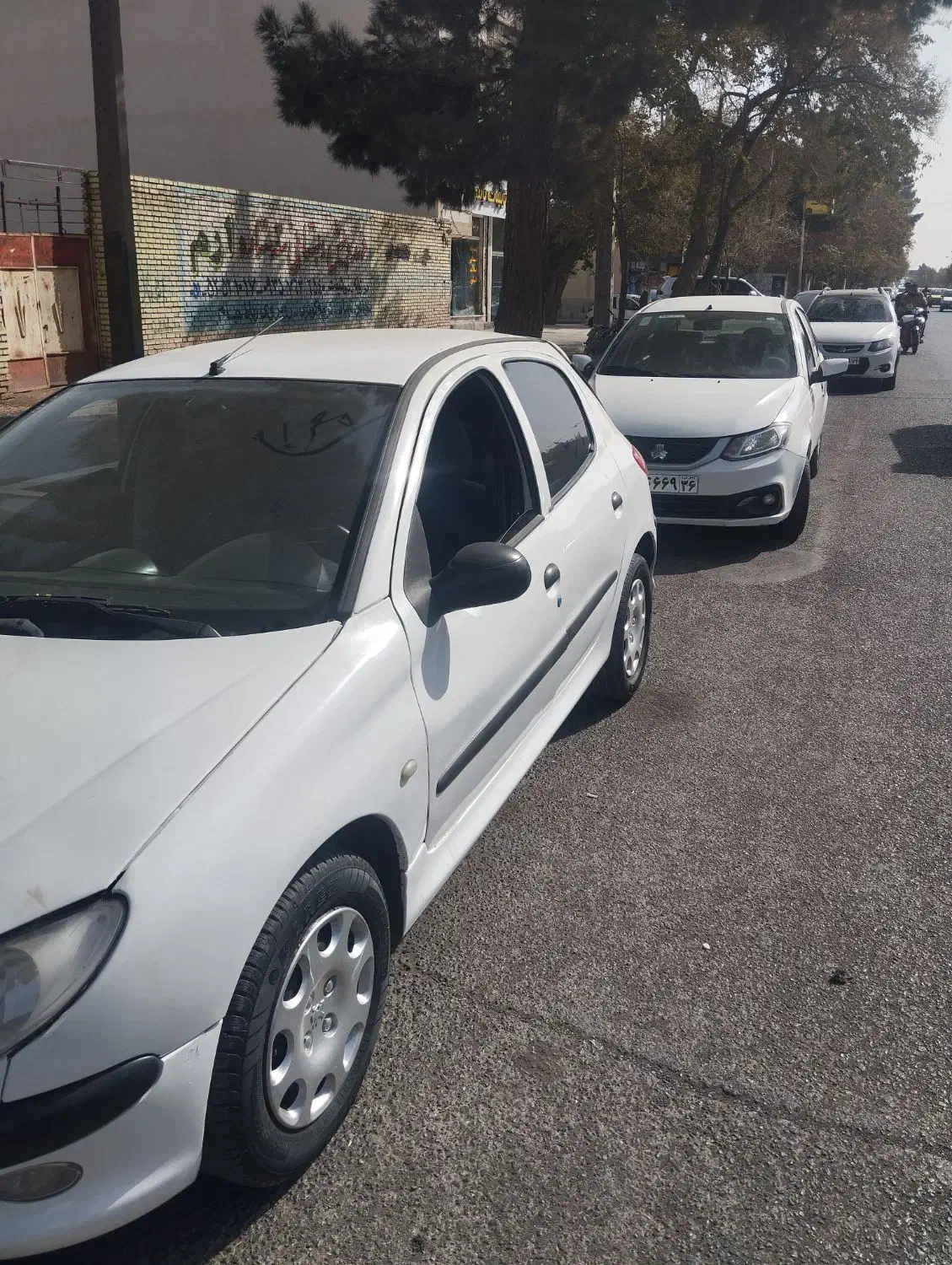 پژو 206 مدل 81|خودرو سواری و وانت|تربت جام, یحیی آباد|دیوار