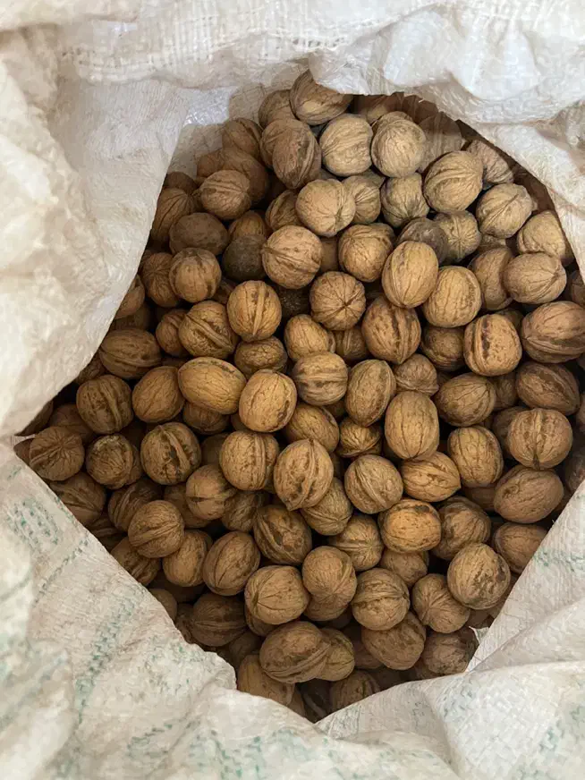 گردو خوش طعم تازه برداشت امسال شهر تویسرکان|خوردنی و آشامیدنی|تهران, گلچین|دیوار