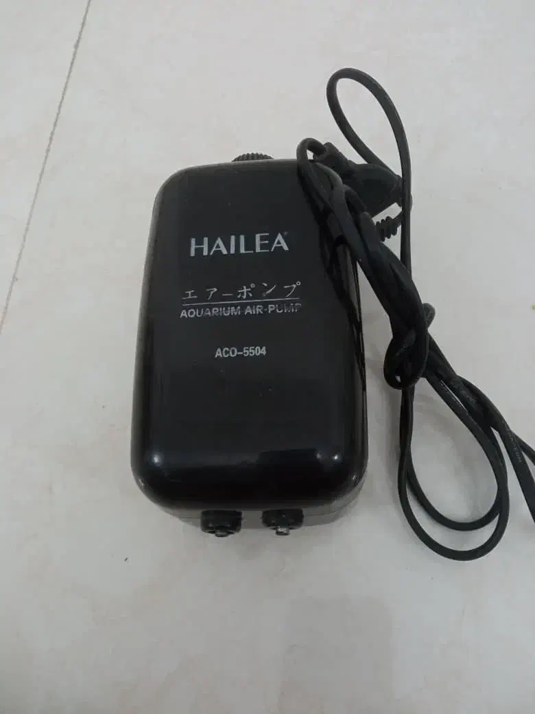 زایشگاه ، بخاری  ،پمپ ، سنگ و وسایل دیگر اکواریوم|لوازم جانبی حیوانات|رشت, دیانتی|دیوار