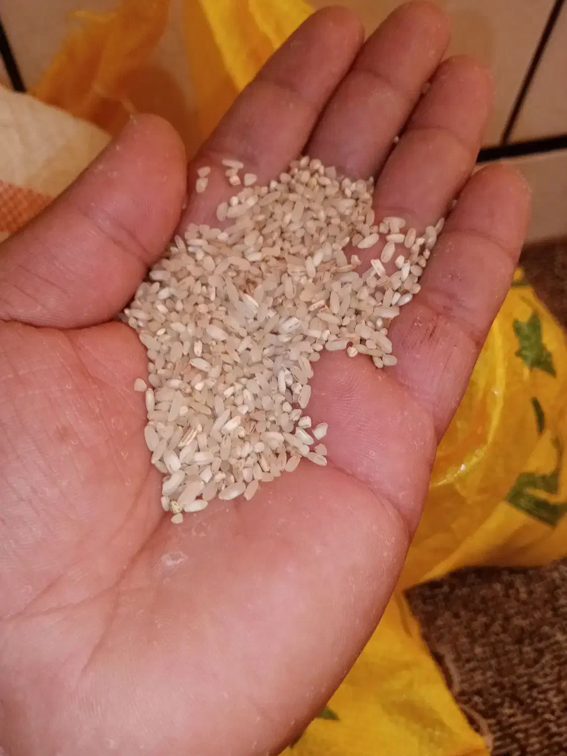 برنج|خوردنی و آشامیدنی|گتوند, |دیوار