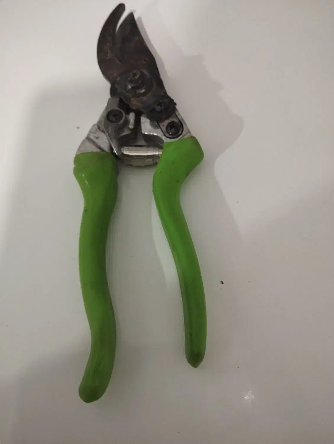 قیچی باغبانی|ابزارآلات|جوانرود, |دیوار