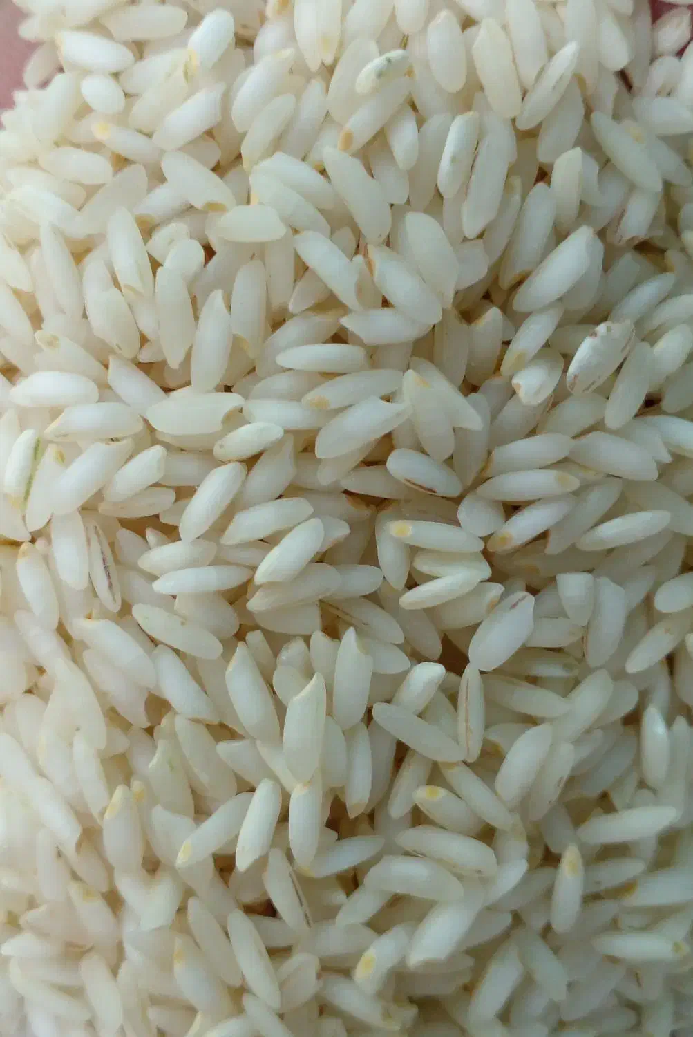 پخش انواع برنج عنبربو با بهترین قیمت وکیفیت|خوردنی و آشامیدنی|اصفهان, رکن الدوله شرقی|دیوار