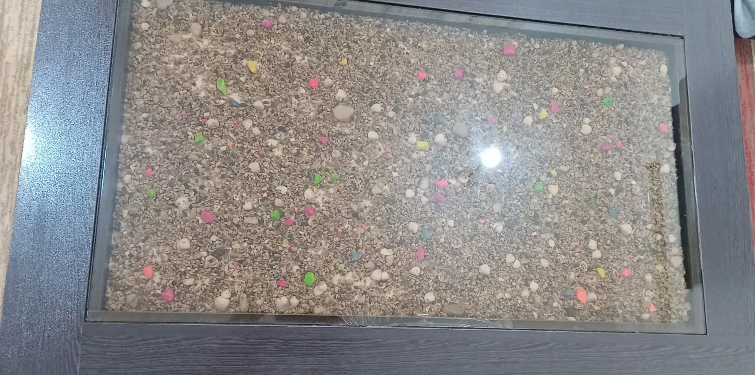 گل میز|میز و صندلی غذاخوری|برازجان, |دیوار