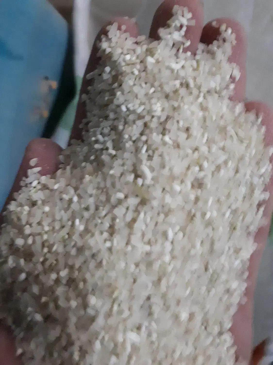 نیم دانه برنج|خوردنی و آشامیدنی|بوشهر, |دیوار