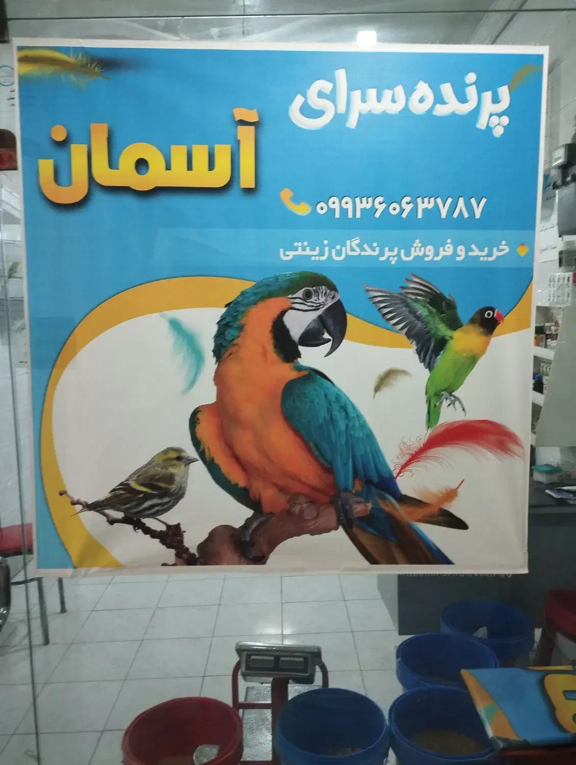 پرنده سرای آسمان|پرنده|آذرشهر, |دیوار