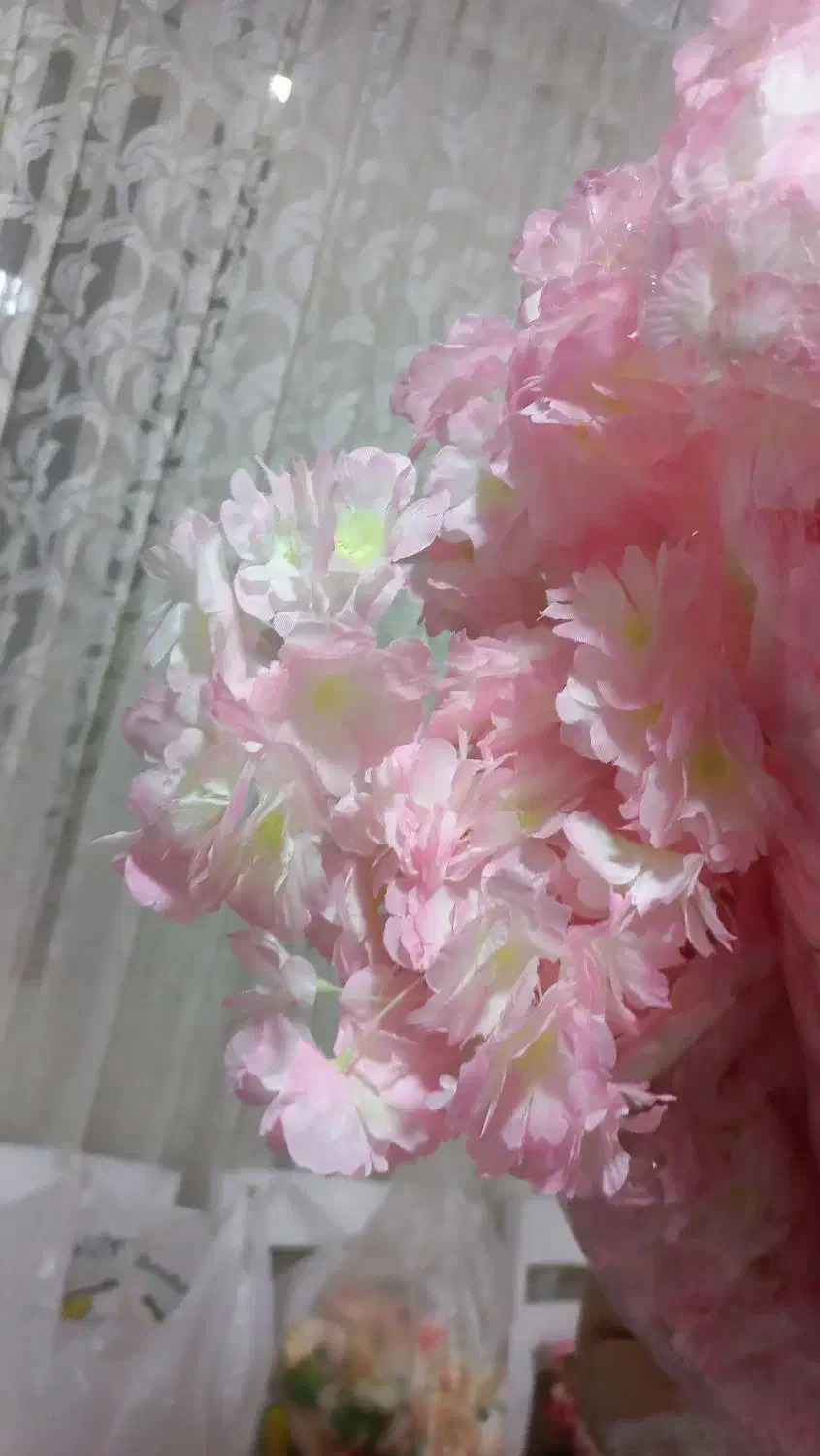 شکوفه گل مصنوعی|گل مصنوعی|بندر انزلی, ساحل قو|دیوار