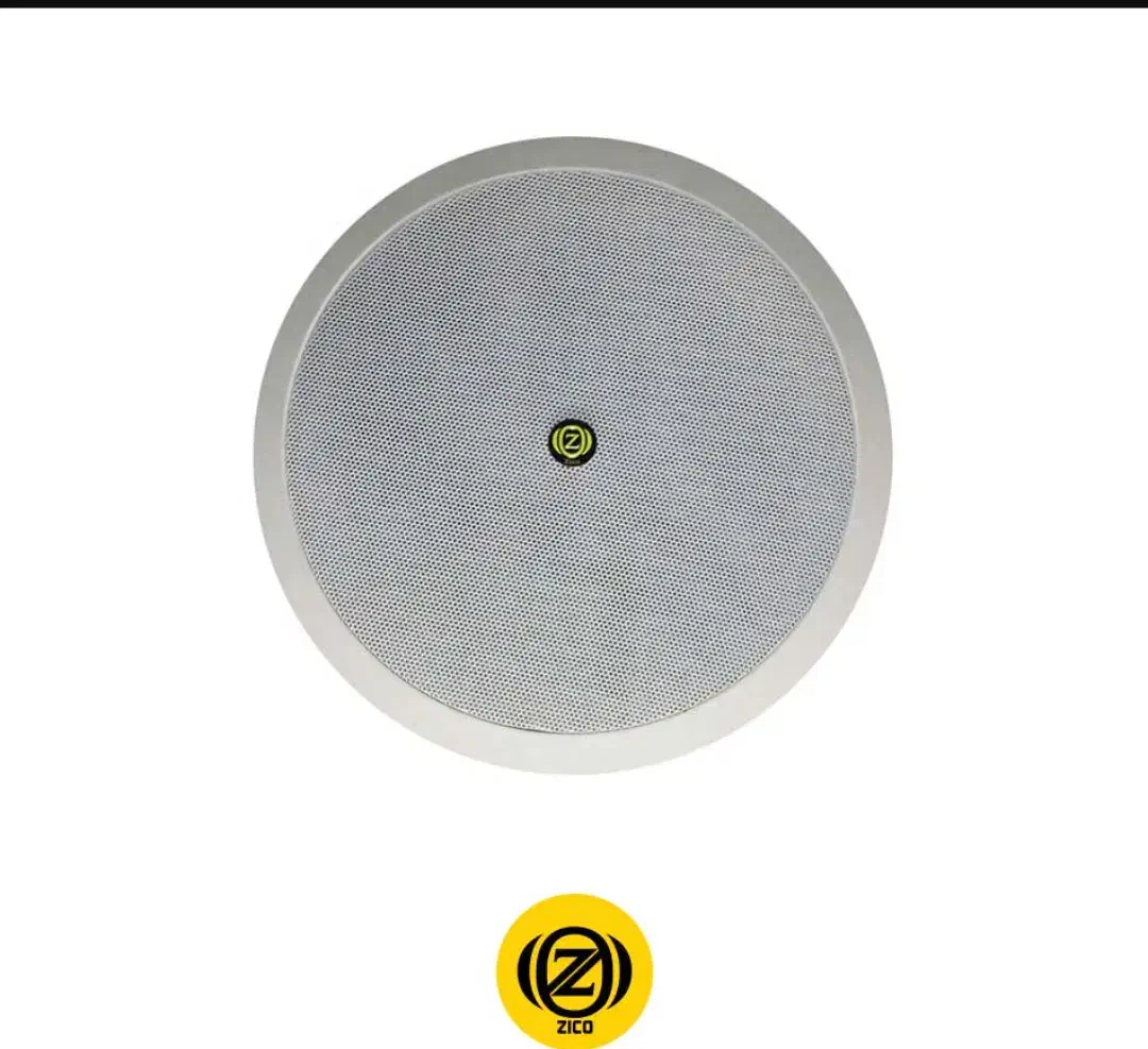 سیستم صوتی خانگی(سقفی)|سیستم صوتی خانگی|گنبد کاووس, |دیوار