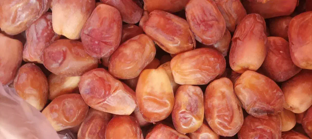 پخش انواع خرما رطب زاهدی و...|خوردنی و آشامیدنی|مشهد, ثامن|دیوار