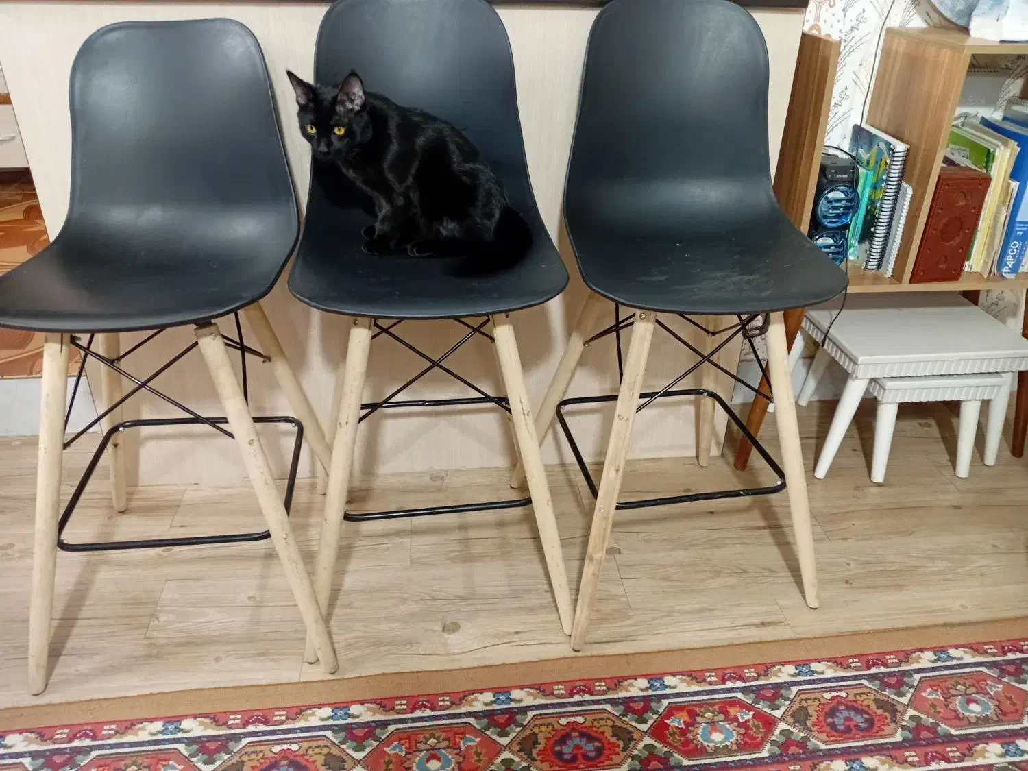 سه عدد صندلی|صندلی و نیمکت|سبزوار, امیر کبیر|دیوار