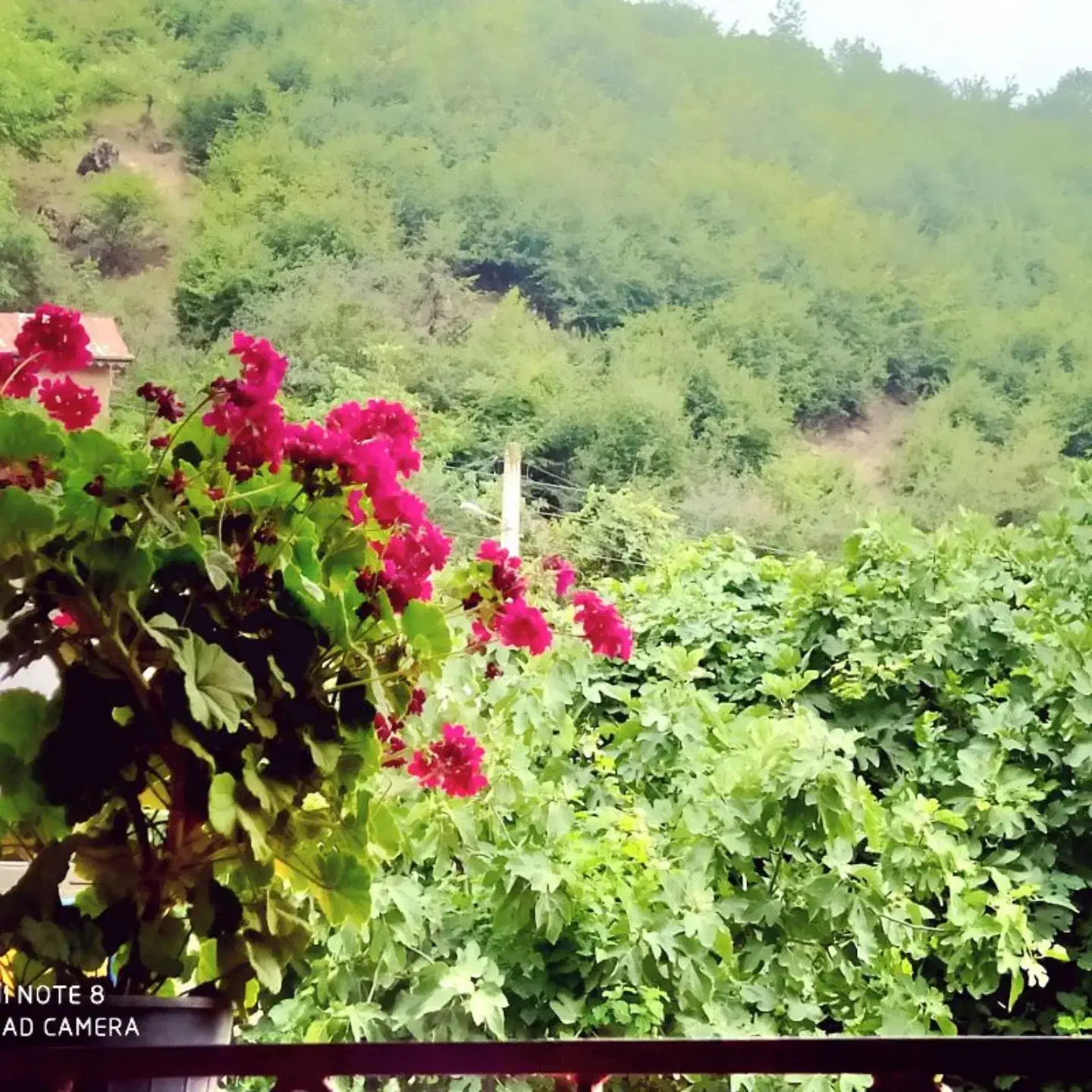 ویلا‌‌قیمت‌مناسب|اجارهٔ کوتاه‌مدت ویلا و باغ|رامیان, |دیوار