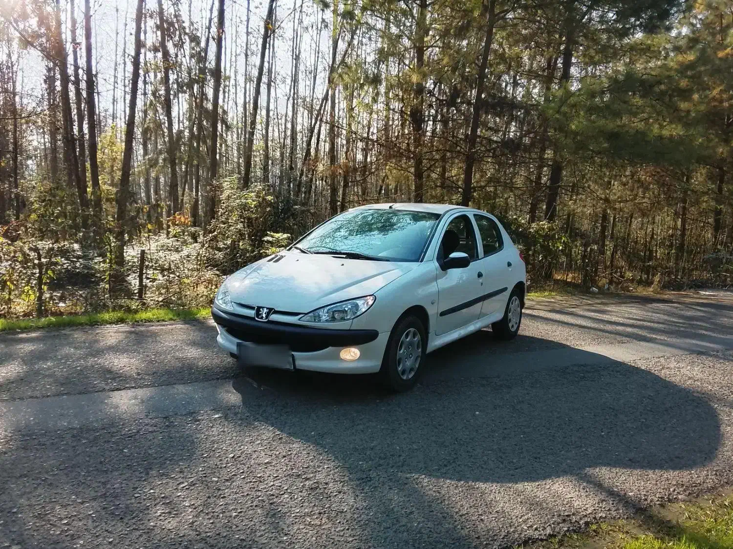 206مدل89|خودرو سواری و وانت|تالش, هشتپر|دیوار