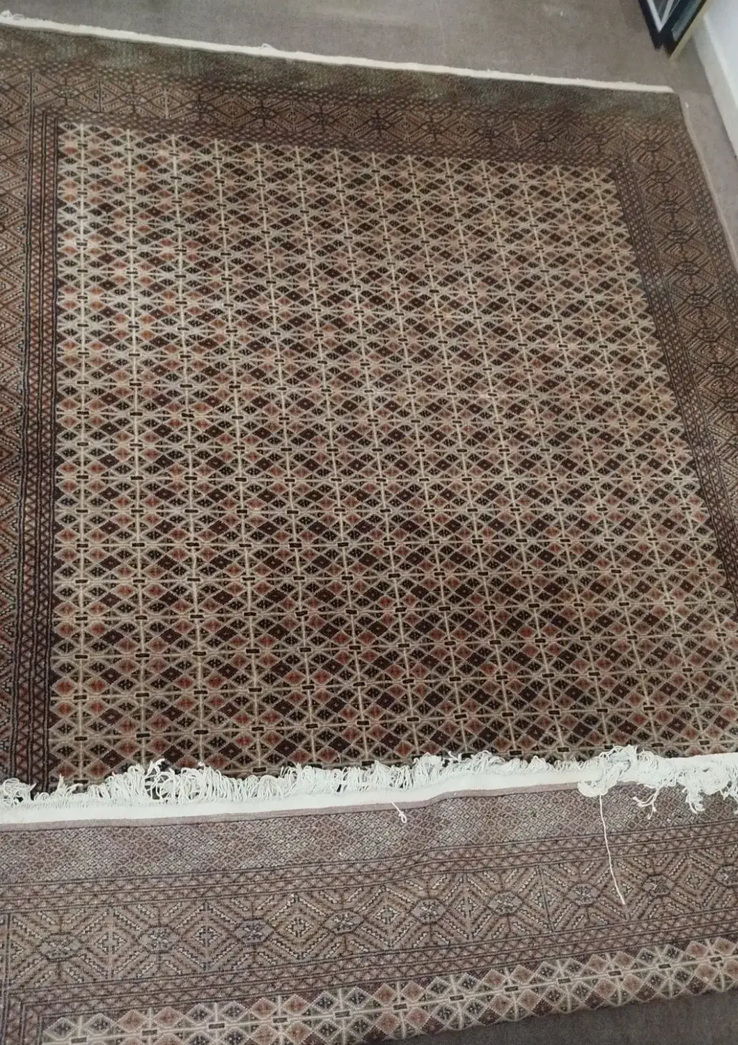 فرش دست باف ۶ متری ترکمن|فرش|رشت, معلم|دیوار