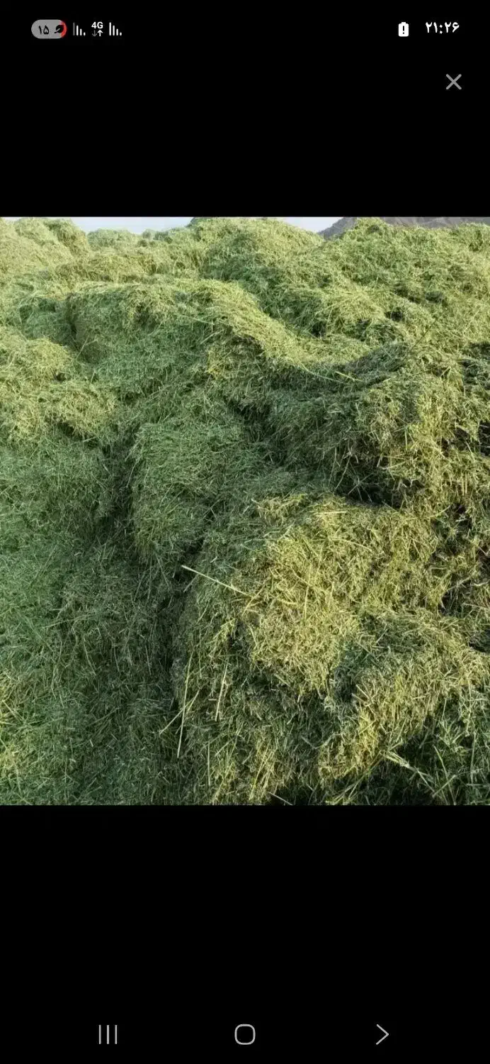 یونجه|لوازم جانبی حیوانات|قشم, |دیوار