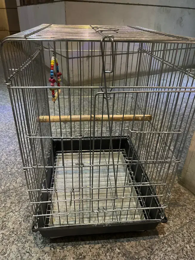 قفس پرنده|لوازم جانبی حیوانات|شیراز, شهرک ولیعصر|دیوار