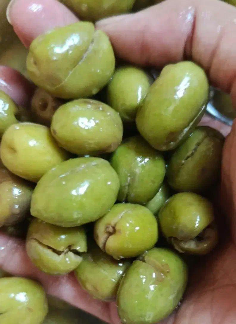 زیتون شکسته|خوردنی و آشامیدنی|محمدیه-قزوین, |دیوار