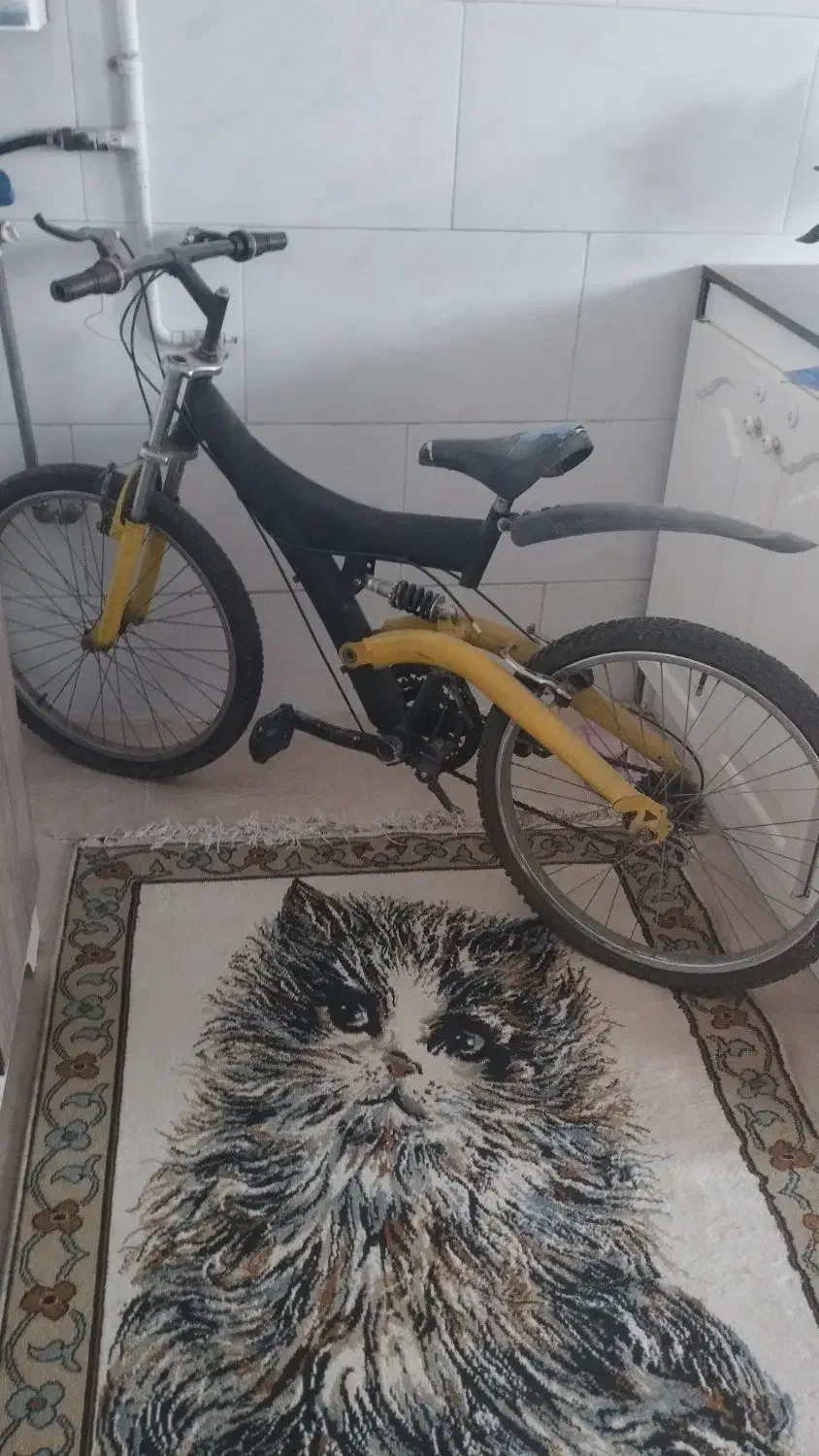 دوچرخه ۲۴|دوچرخه، اسکیت، اسکوتر|مشکین‌دشت, |دیوار