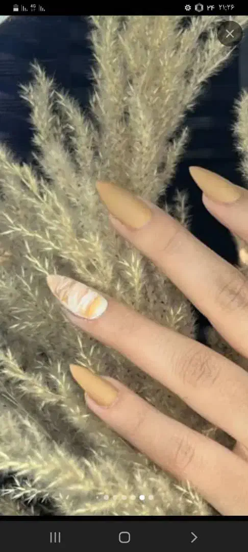 مژده مژده خانم های با سلیقه برای شب یلدا|خدمات آرایشگری و زیبایی|مشهد, ولیعصر (شهرک غرب)|دیوار