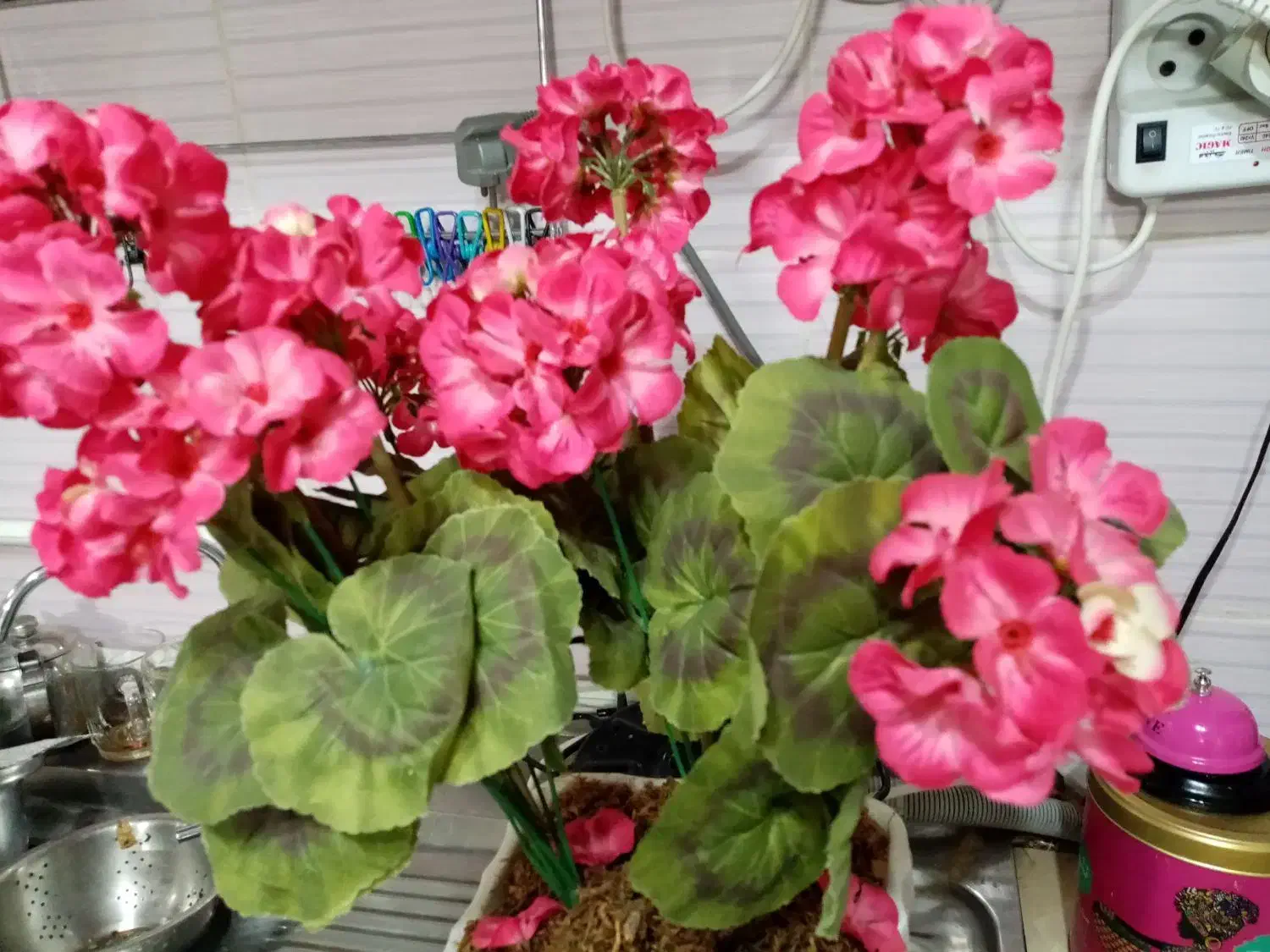 گل شمعدانی|گل مصنوعی|رباط‌کریم, رباط‌کریم|دیوار