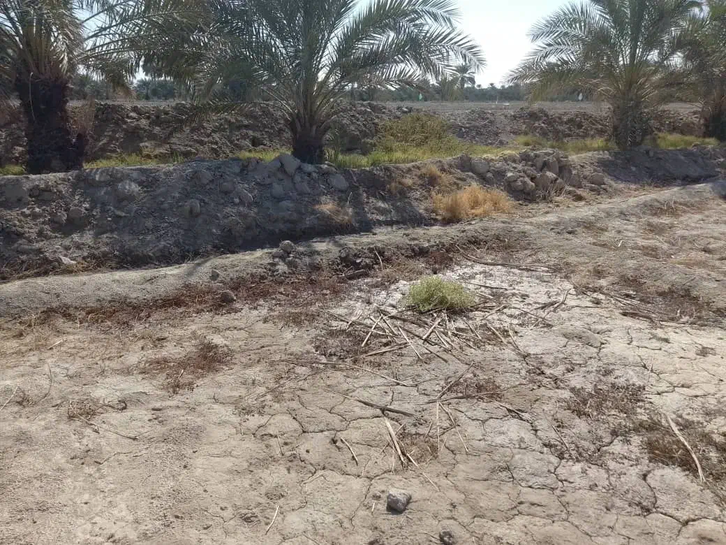 فروش زمین کشاورزی 4000متر|فروش دفتر صنعتی، کشاورزی، تجاری|ایرانشهر, |دیوار