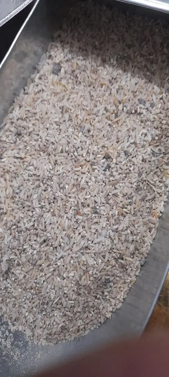 ضایعات برنج|عمدهفروشی|سلطانیه, |دیوار