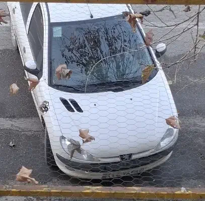 فروش خودرو|خودرو سواری و وانت|گنبد کاووس, |دیوار