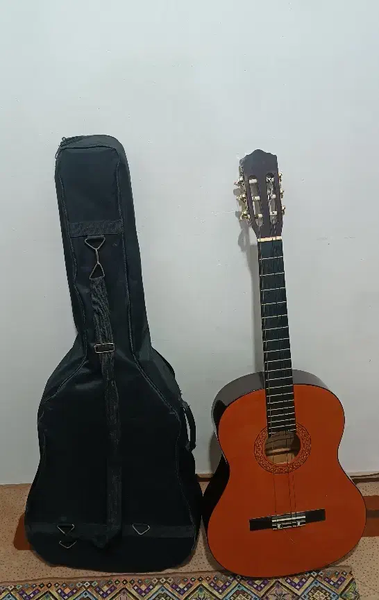 گیتار ماتادور|گیتار، بیس، امپلیفایر|مشهد, مشکینی (شهرک غرب)|دیوار