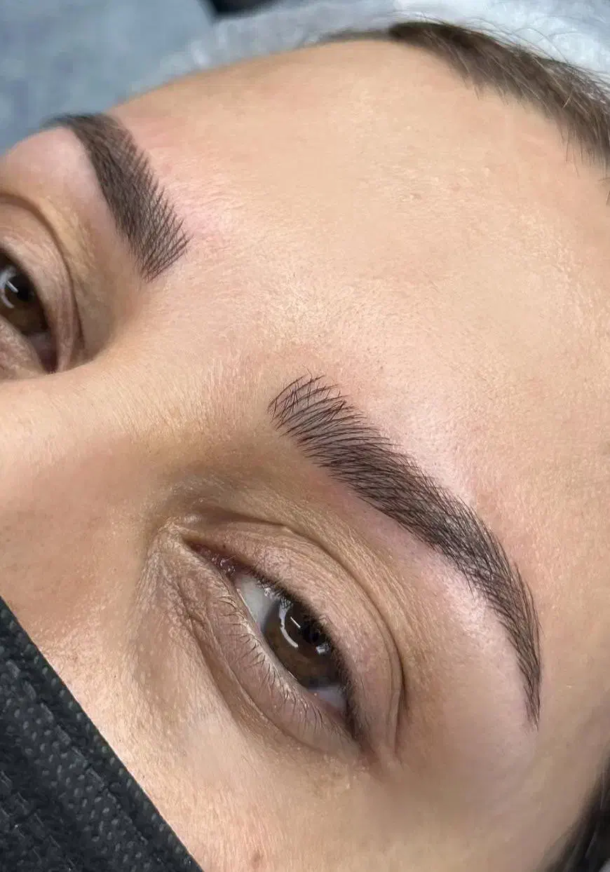 مدل فیبروز ابرو و خط چشم|خدمات آرایشگری و زیبایی|گنبد کاووس, |دیوار