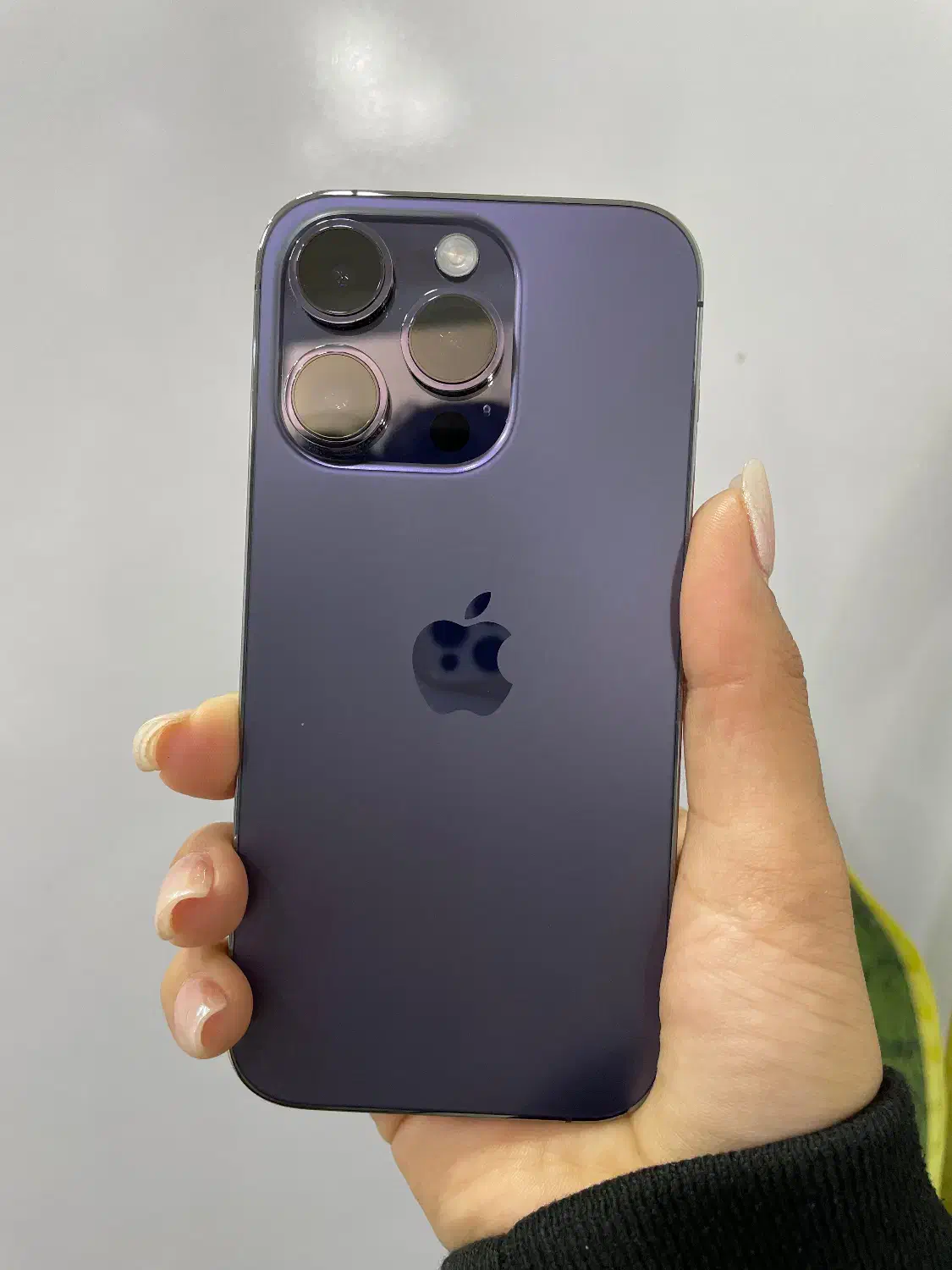 iPhone14pro|موبایل|تربت‌حیدریه, حسنی بالا|دیوار