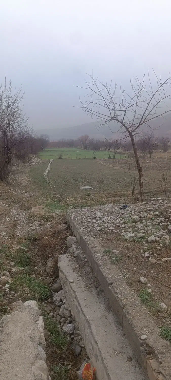 خانه فروشی فوری فوری|فروش خانه و ویلا|درگز, |دیوار