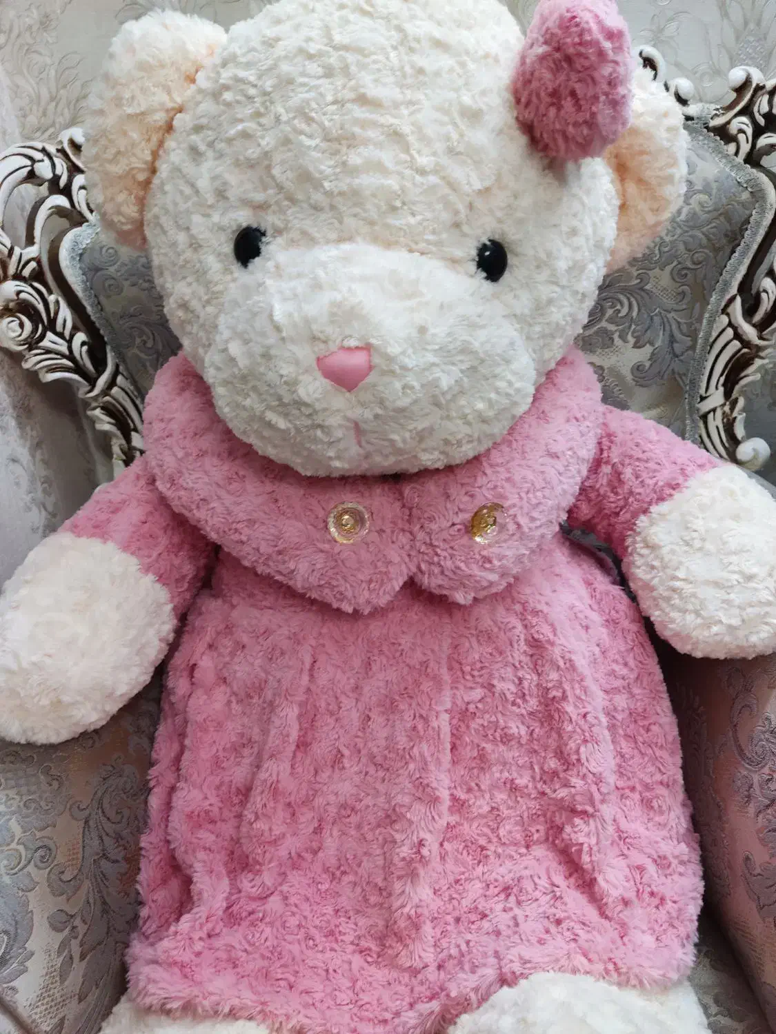 خرس شاسخین|اسباب‌بازی بچه|پاکدشت, پاکدشت (مامازند)|دیوار