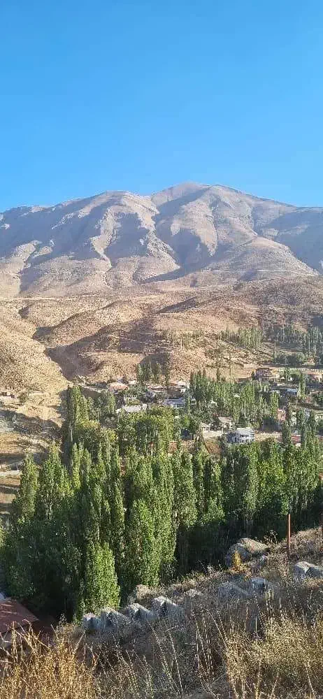 فروش زمین در پلور ( فوری زیر قیمت)|فروش زمین و ملک کلنگی|رینه, |دیوار