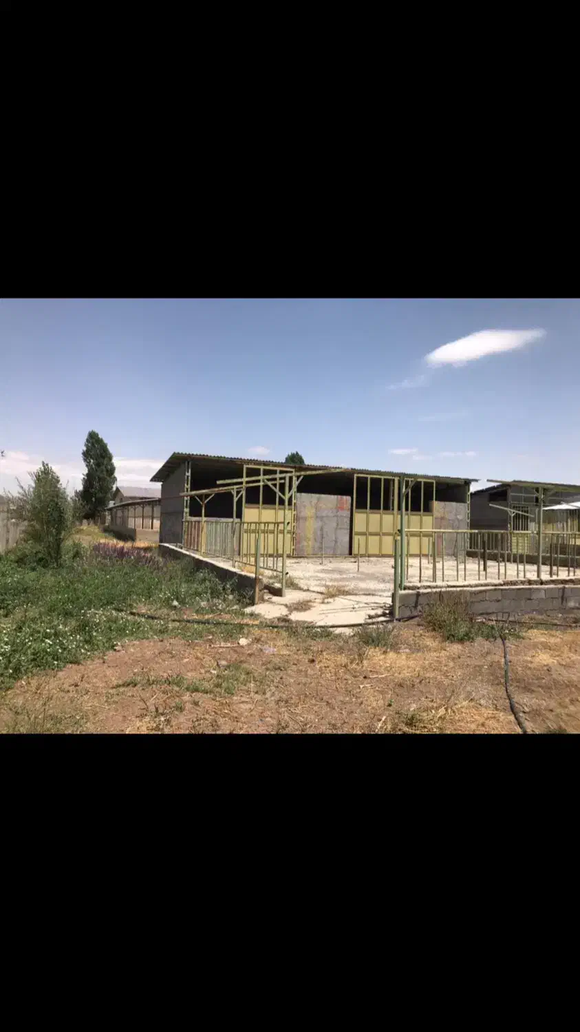 فروش یک واحد گاوداری با امکانات کامل|فروش دفتر صنعتی، کشاورزی، تجاری|هریس, |دیوار