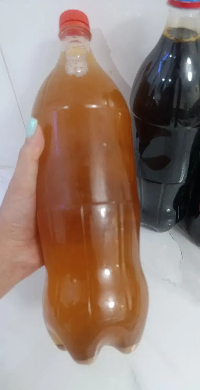 ابغوره|خوردنی و آشامیدنی|تهران, اباذر|دیوار