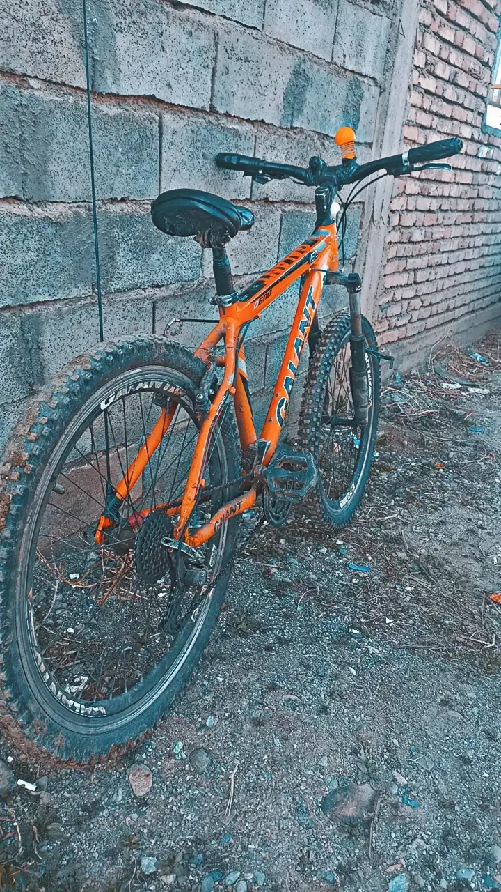 دوچرخه 26|دوچرخه، اسکیت، اسکوتر|بانه, |دیوار