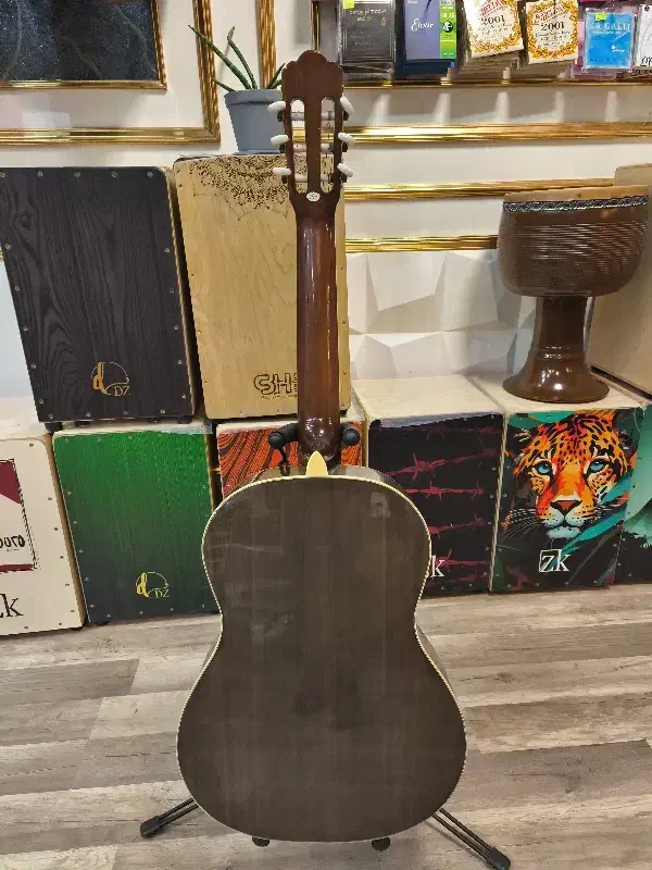 گیتار استگ|گیتار، بیس، امپلیفایر|رشت, گلسار|دیوار