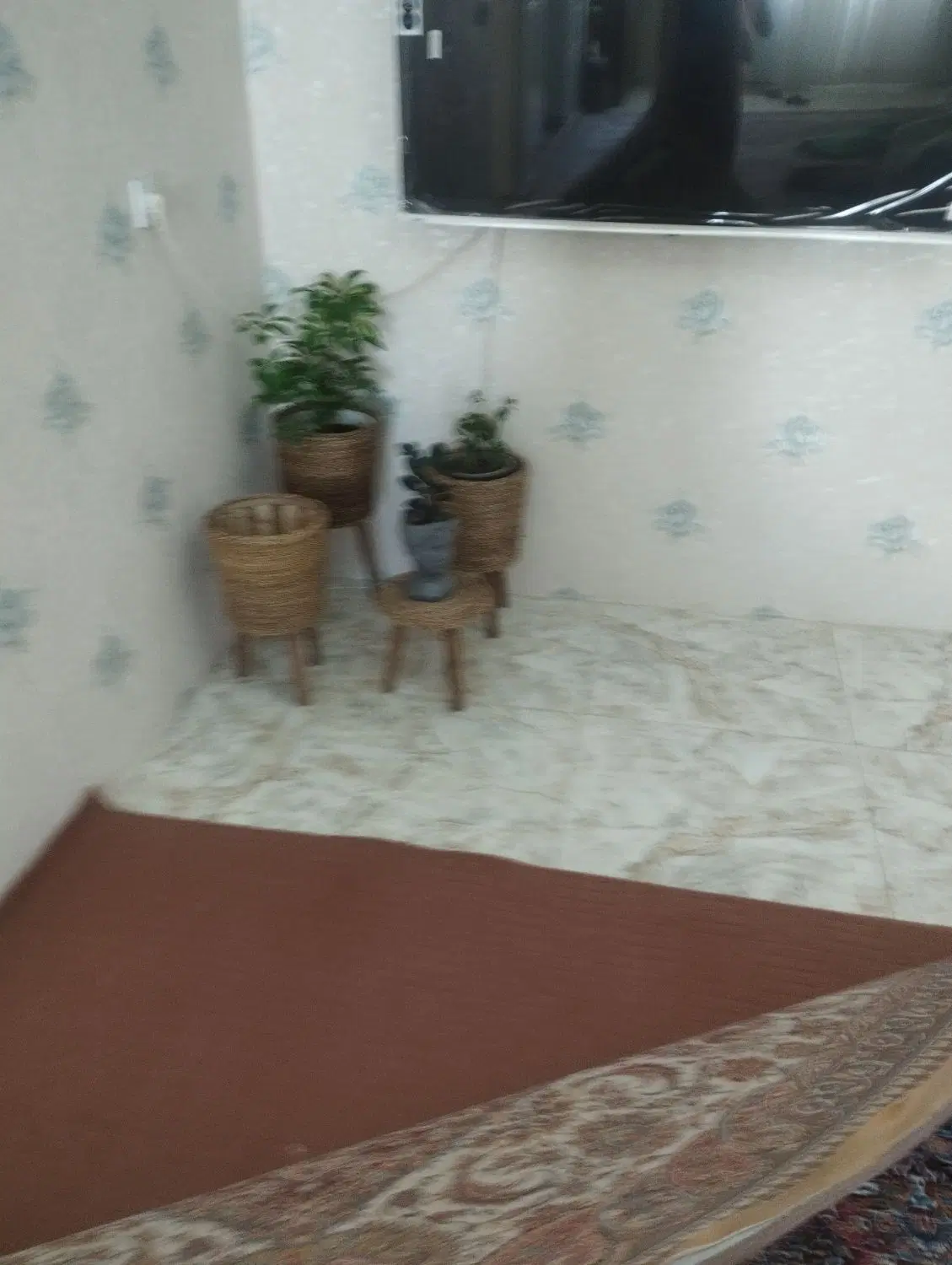 موکت|موکت|فامنین, |دیوار