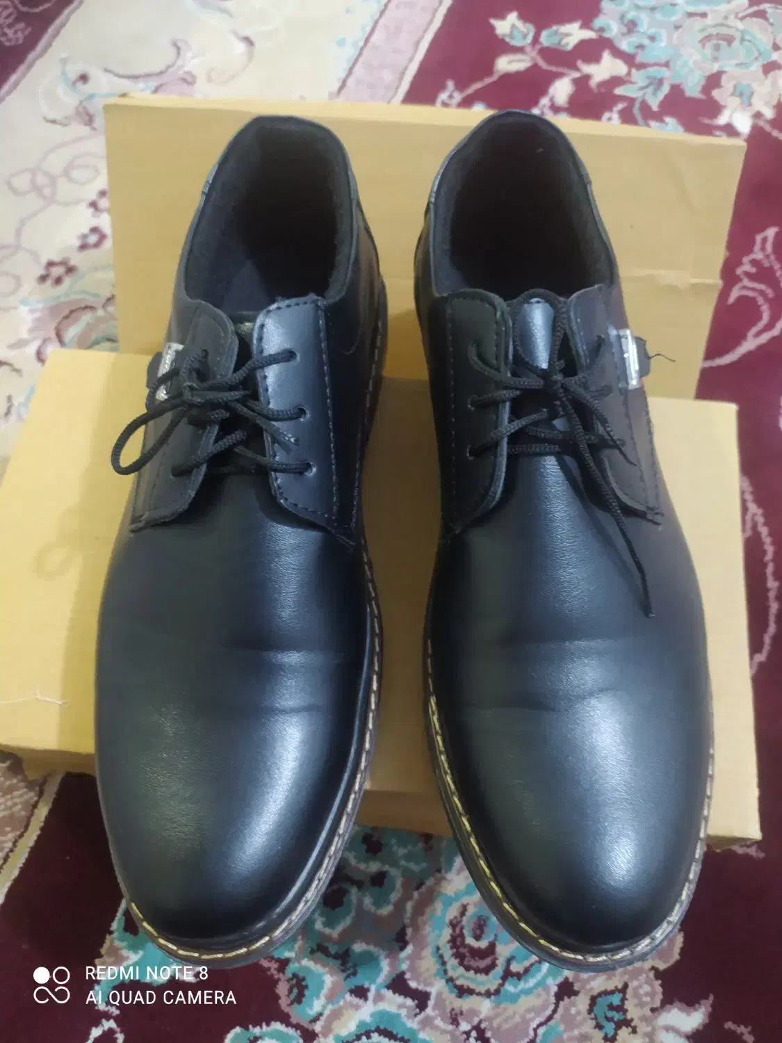 کفش مجلسی مردانه نوو|کیف، کفش، کمربند|ایلام, |دیوار